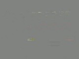 ʵ¼-20171113